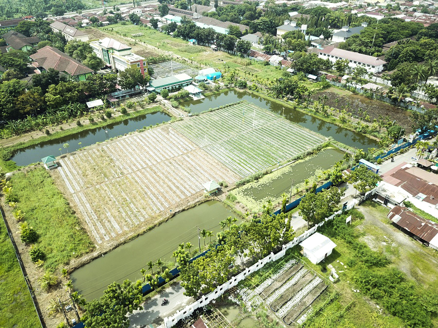 uma-kebun-percobaan UMA